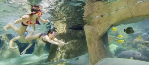 Aqua Mundo De Vossemeren
